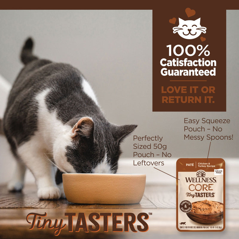 Wellness Core Wet Cat Food Tiny Tasters Chicken & Turkey Pate