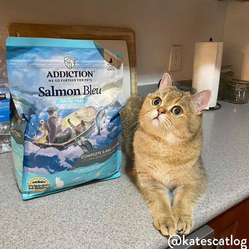 ADDICTION Salmon Bleu Dry Cat Food