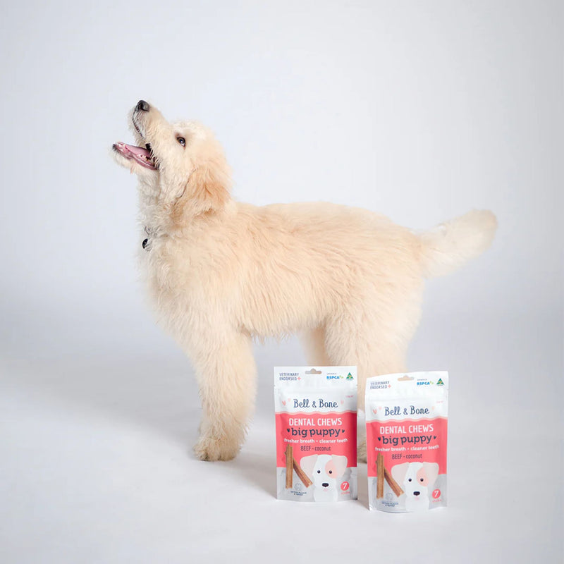 Bell and Bone Puppy Dental Chews - Beef and Coconut