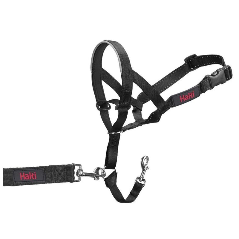 Halti Headcollar | PeekAPaw Pet Supplies