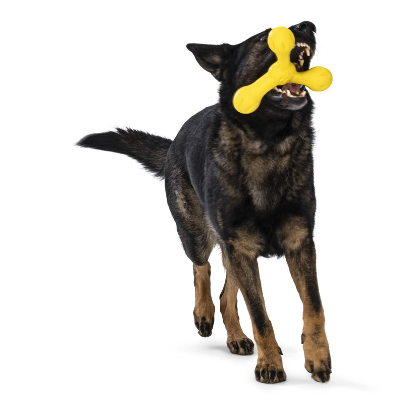 West Paw Skamp Flyer-Inspired Fetch Dog Toys