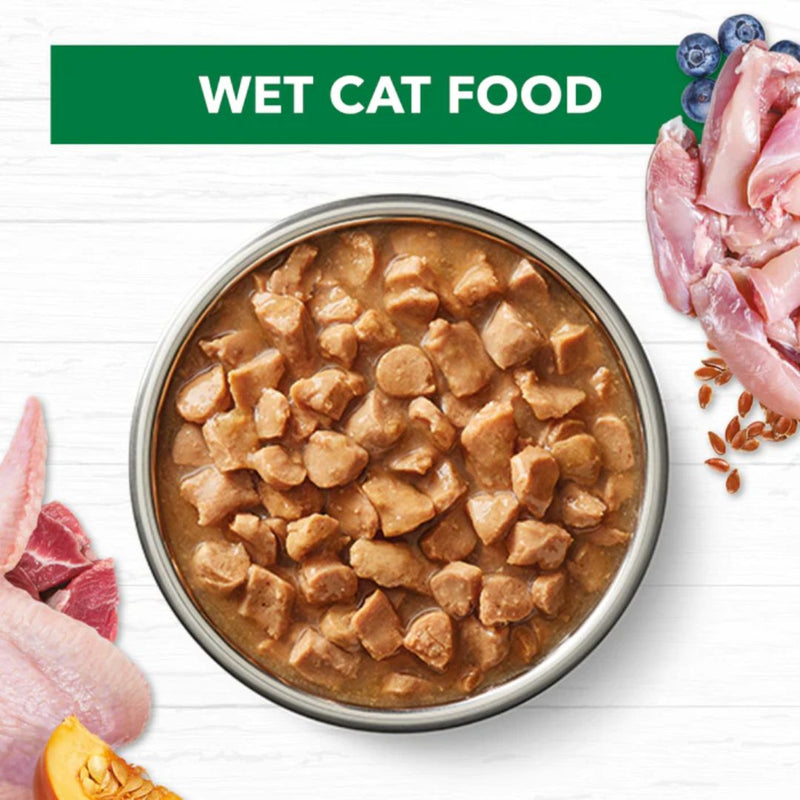 Ivory Coat Grain Free Adult Wet Cat Food Chicken & Lamb in Gravy