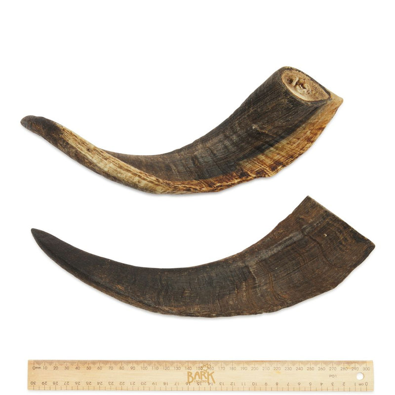 Bark & Beyond Goat Horns - Large | PeekAPaw Pet Supplies