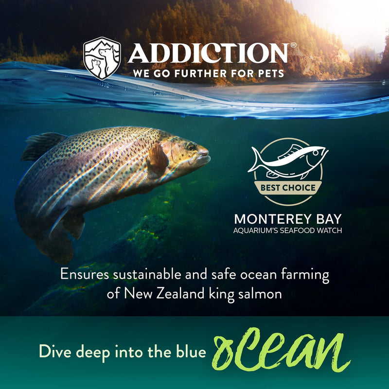 ADDICTION Salmon Bleu Dry Cat Food