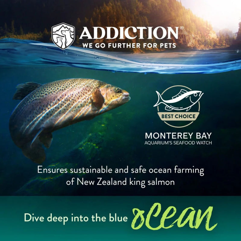 ADDICTION Salmon Bleu Puppy Dry Dog Food