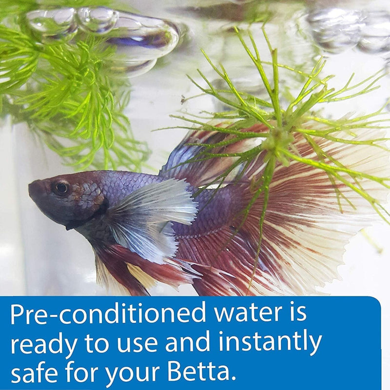 API Betta Water