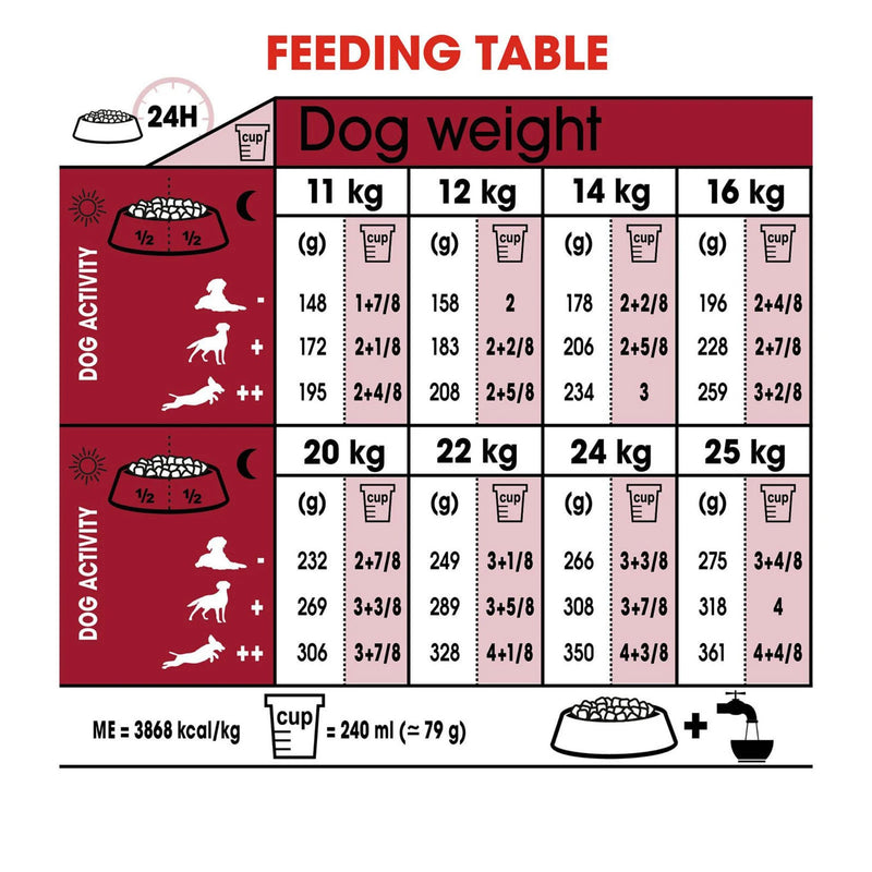 Royal Canin Medium Ageing 10+