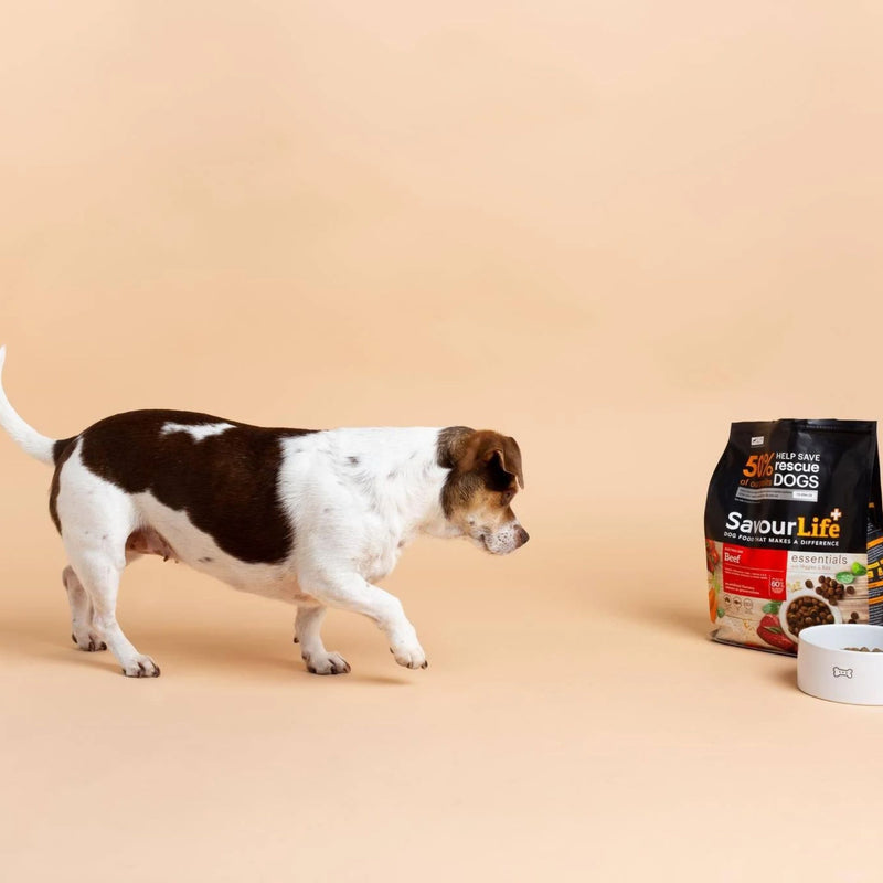 SavourLife Essentials Australian Beef Dry Dog Food