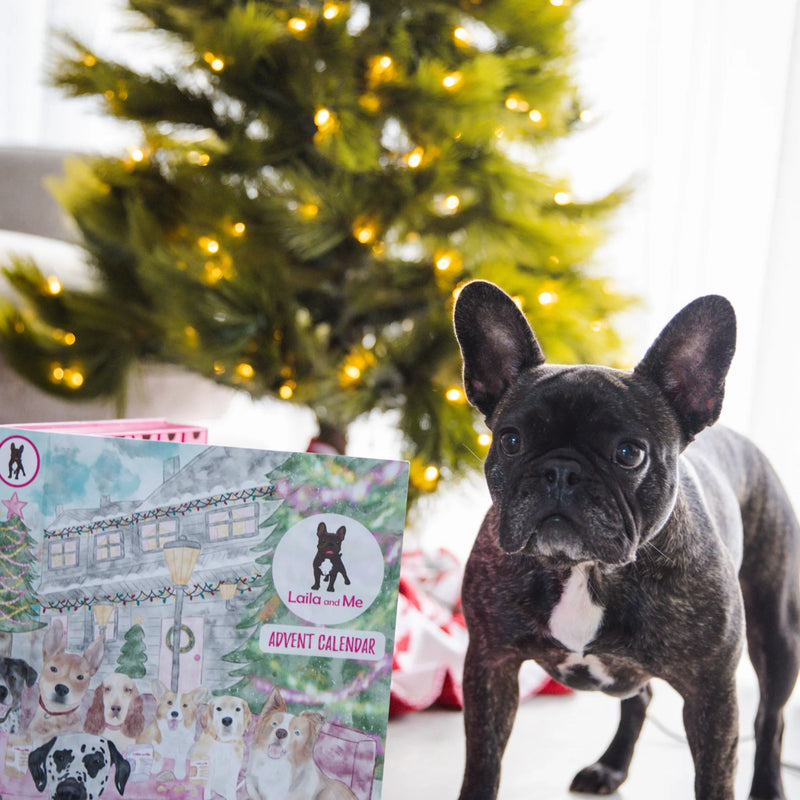 Laila & Me Dog Advent Calendar