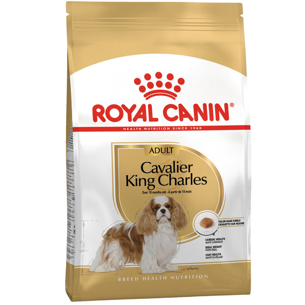 Royal Canin Cavalier King Charles