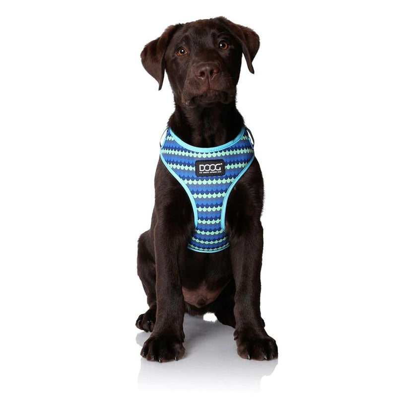 Doog Neoflex Soft Dog Harness - Pluto | PeekAPaw Pet Supplies