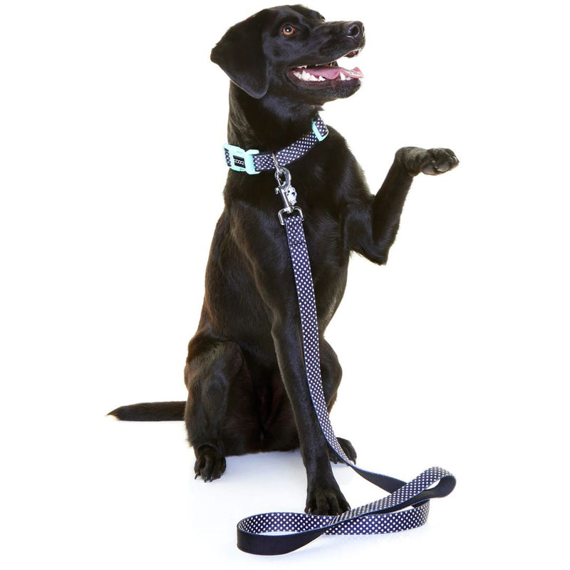 Doog Neoprene Dog Collar - Pongo  | PeekAPaw Pet Supplies