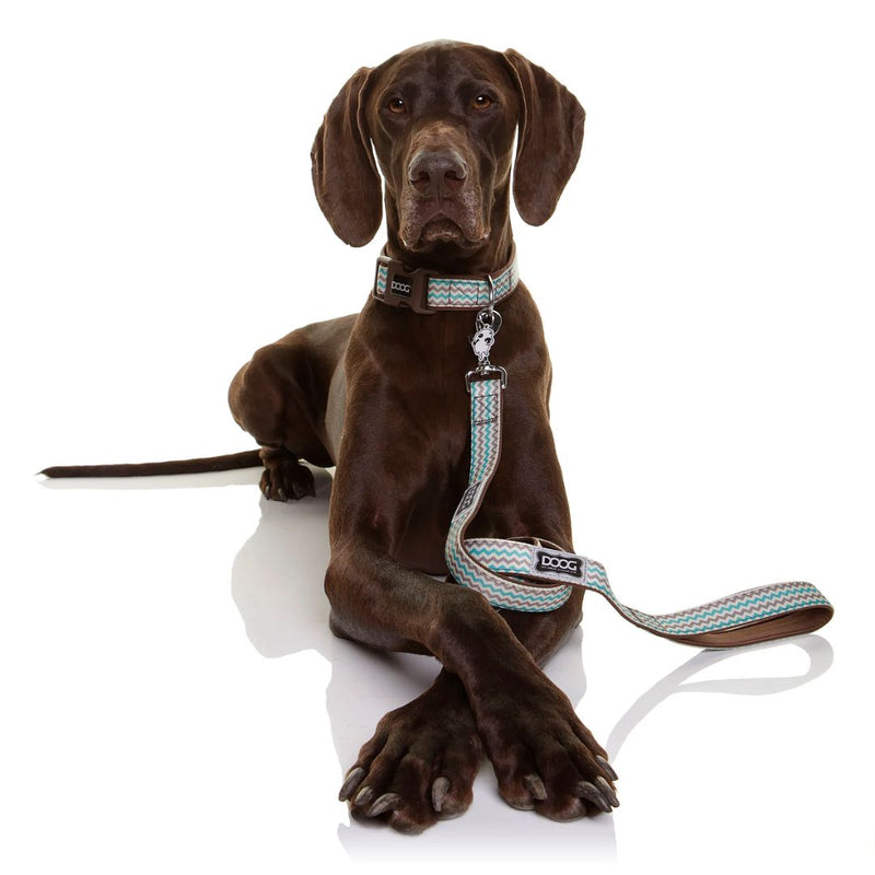 Doog Neoprene Dog Leash - Benji | PeekAPaw Pet Supplies