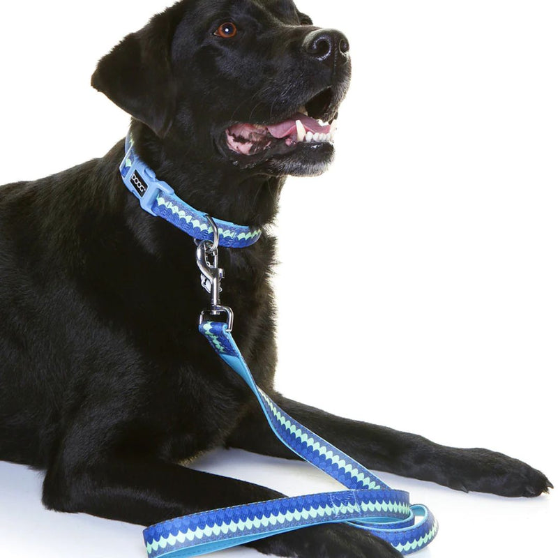 Doog Neoprene Dog Leash - Pluto | PeekAPaw Pet Supplies