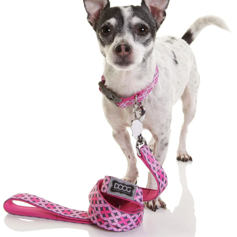 Doog Neoprene Dog Leash - Toto | PeekAPaw Pet Supplies