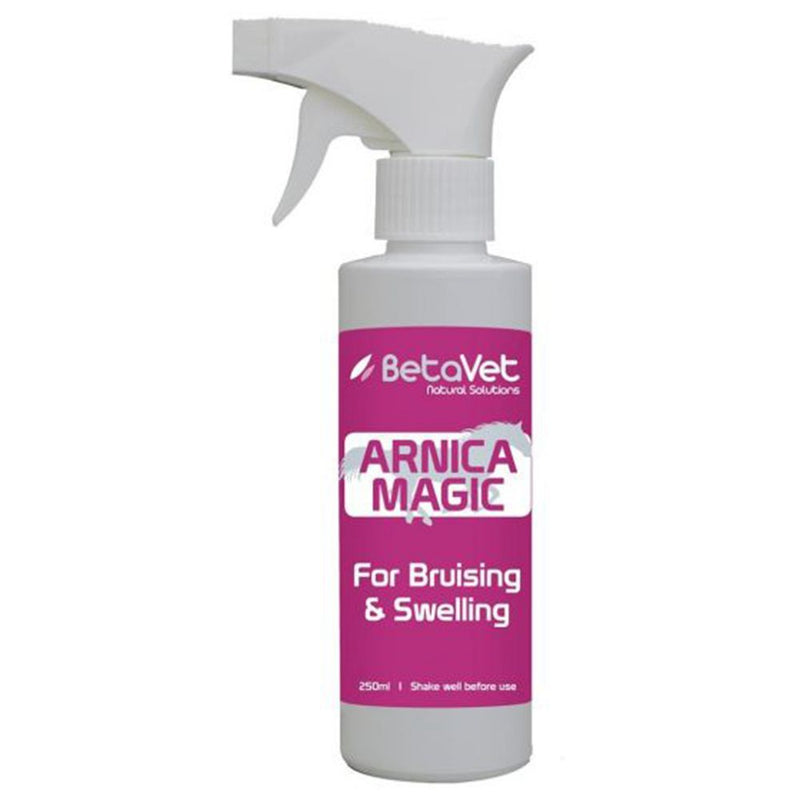 BetaVet Natural Solutions Horses Arnica Magic for Bruising & Swelling - 250ml | PeekAPaw Pet Supplies