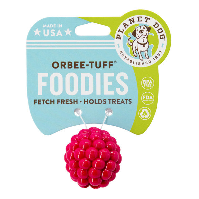 Planet Dog Orbee-Tuff  Raspberry Treat-Dispensing Dog Toy