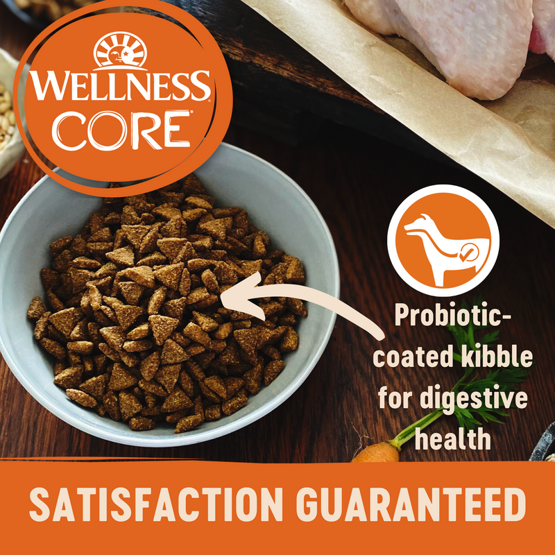 Wellness Core Dry Dog Food Grain Free Wild Game