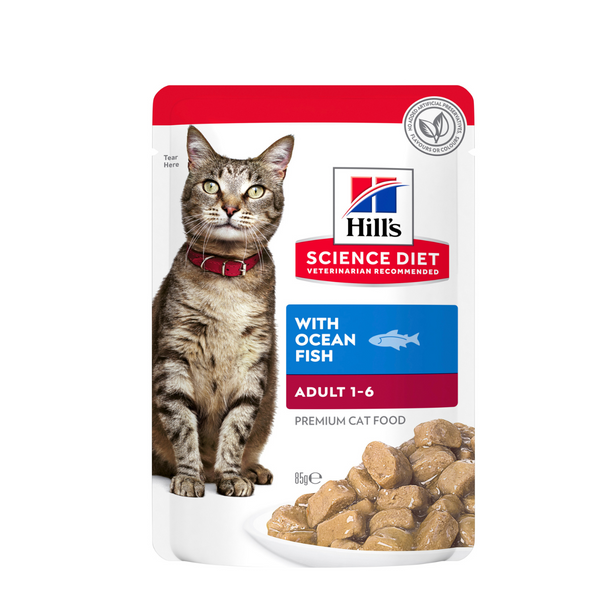 Hill's science diet kitten wet food hotsell