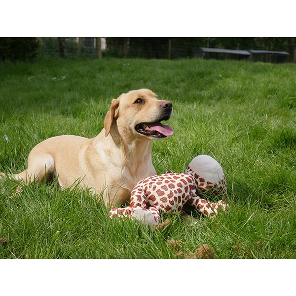 Rosewood Dog Toys Gerry Giraffe 04