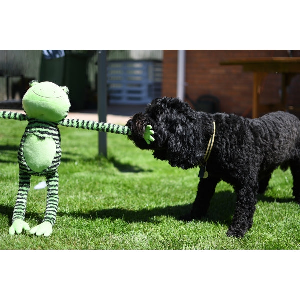 Rosewood Dog Toys Froggy Long Legs 10