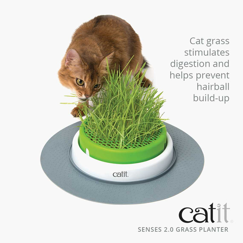 Catit Cat Toys Senses 2.0 Grass Planter & Refill 06