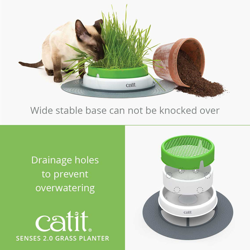 Catit Cat Toys Senses 2.0 Grass Planter & Refill 05