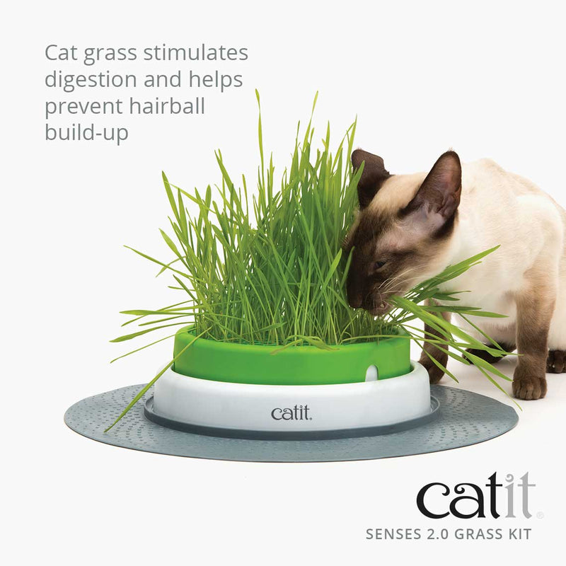 Catit Cat Toys Senses 2.0 Grass Planter & Refill 03