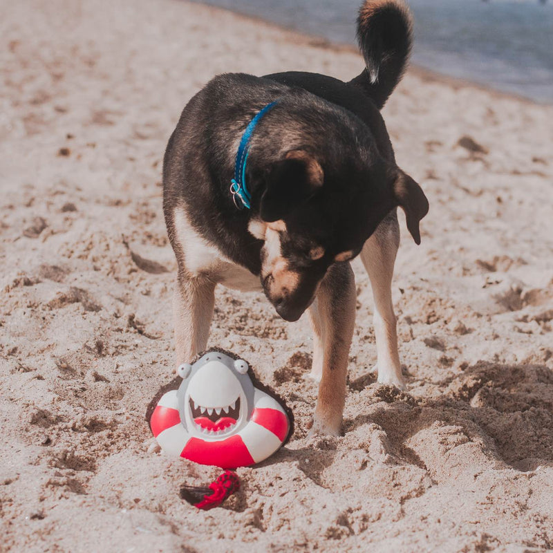 Max & Molly Snuggles Dog Toy -Frenzy The Shark 04