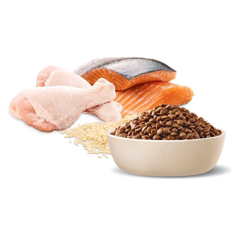 ADVANCE Adult Dry Cat Food Chicken & Salmon with Rice