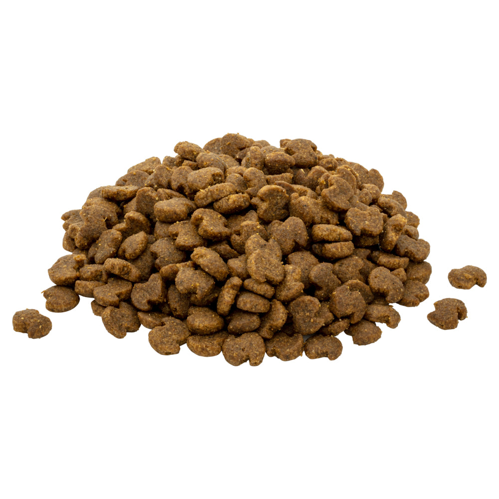 Eukanuba sporting dog food best sale