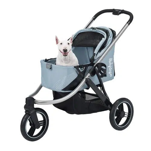 Puppy in stroller best sale