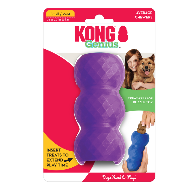 KONG Dog Toys Genius Mike Assorted 01