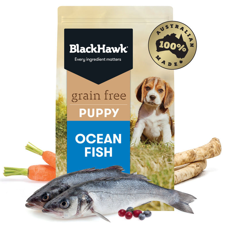 Black Hawk Dry Dog Food Grain Free Puppy Ocean Fish 01