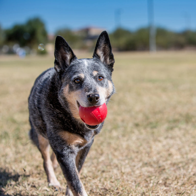 KONG Dog Toys Ball with Hole 02