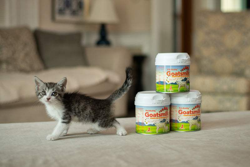 PetsBuddy Goatsmilk Formulated Kitten Replacement