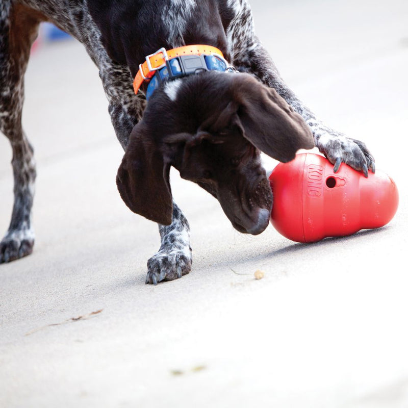 KONG Dog Toys Wobbler