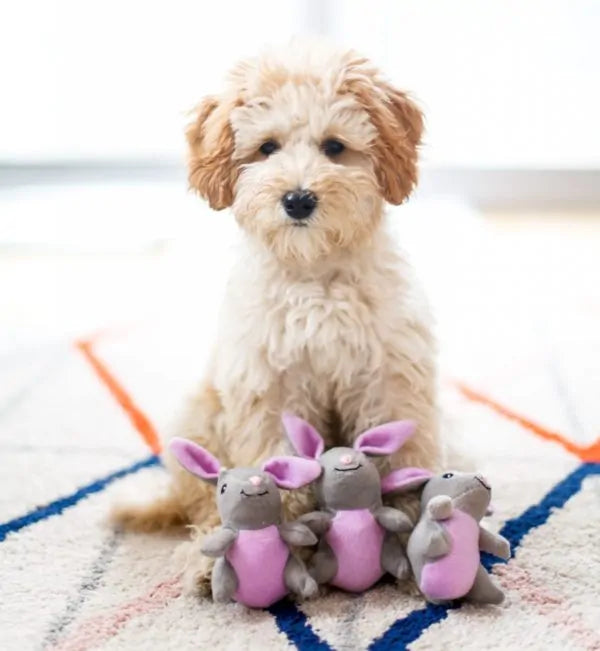 Zippy Paws Dog Toys Plush Burrow - Bunny 'n Carrot 05