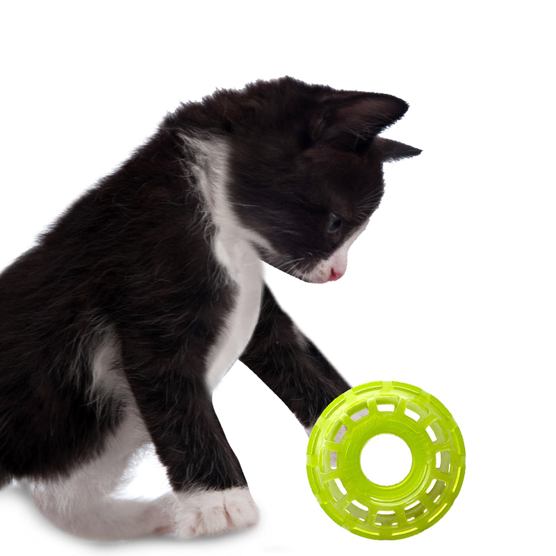 Nerf Cat Toy - Transparent PP Rattle Ring 9cm 06