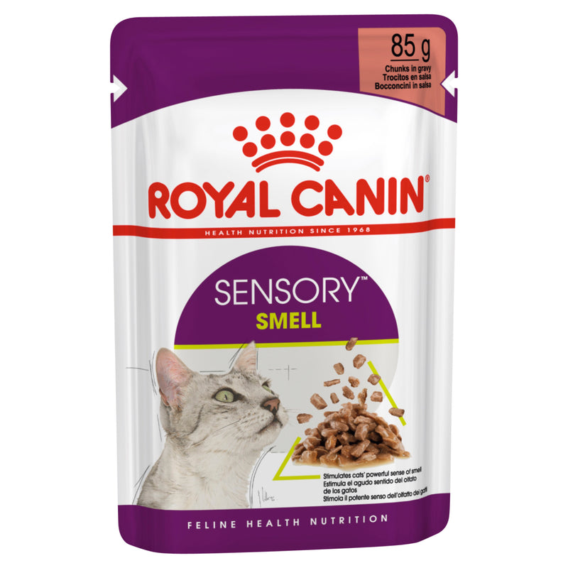 Royal Canin Wet Cat Food Sensory Smell Gravy | PeekAPaw Pet Supplies