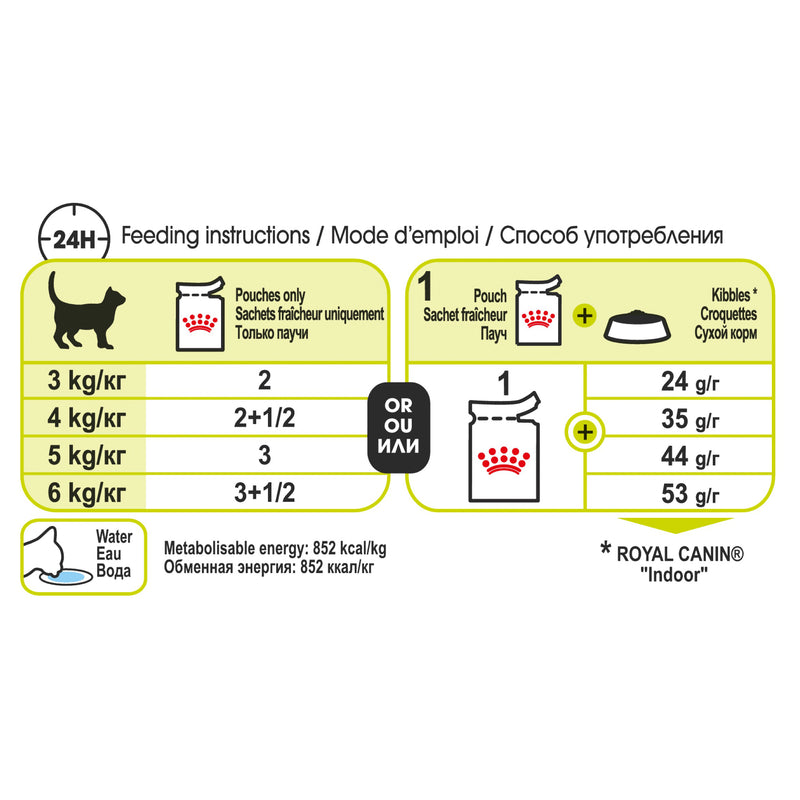 Royal Canin Wet Cat Food Sensory Smell Gravy | PeekAPaw Pet Supplies