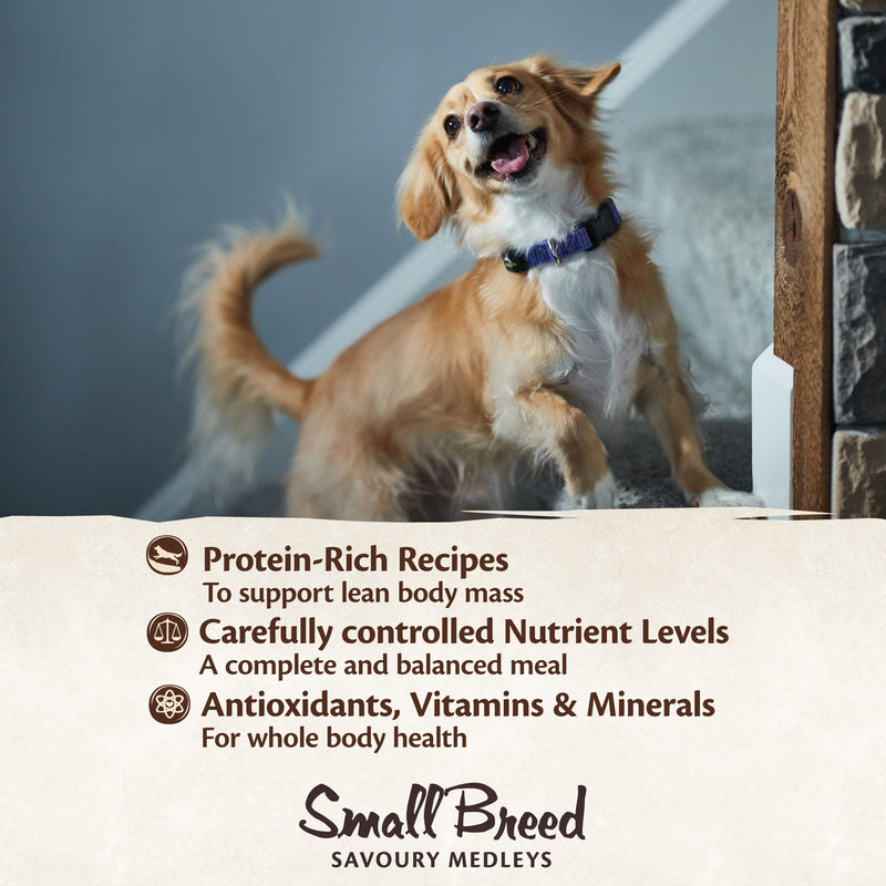 Wellness Core Wet Dog Food Small Breed Savoury Medleys Braised Lamb, Venison, White Sweet Potatoes & Carrots