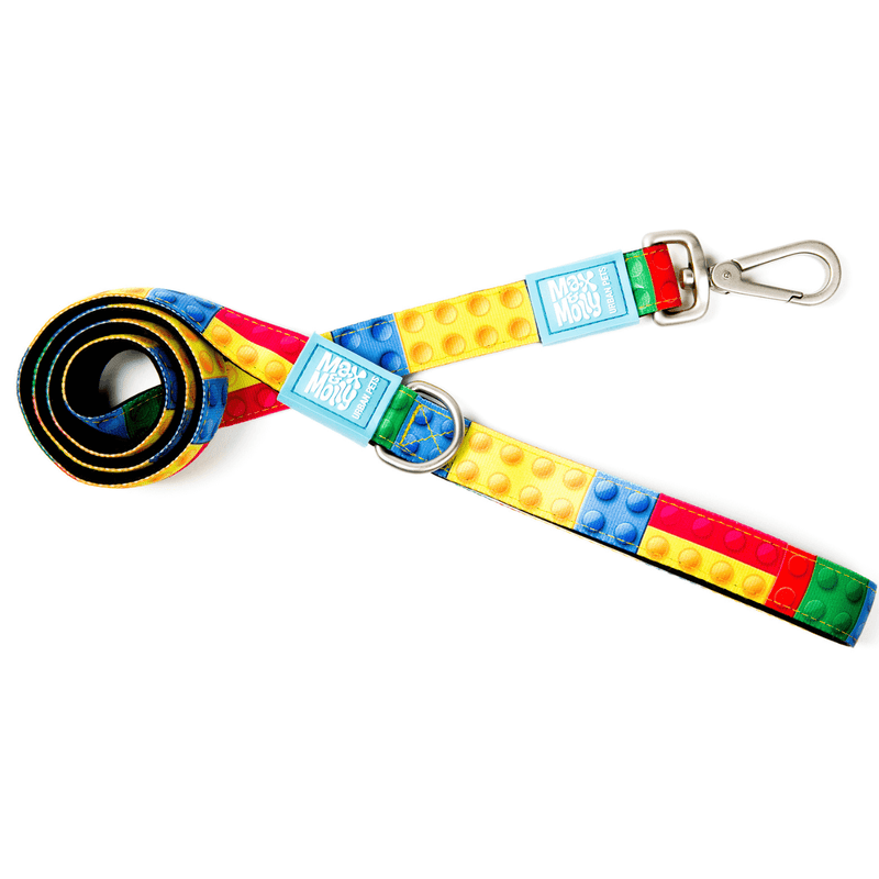 Max & Molly Dog Leash -  Playtime 2.0