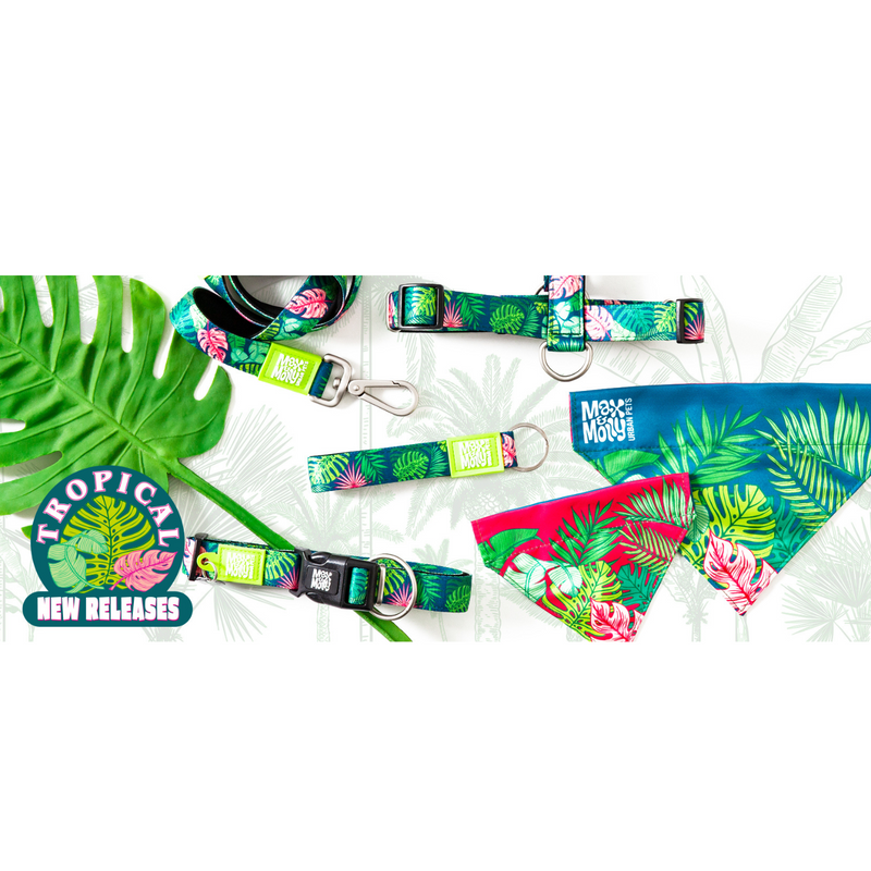 Max & Molly Smart Id Dog Collar -Tropical 02