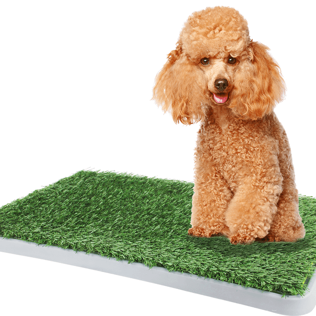 Dogit Replacement Green Grass Dog Trainer Toilet 02