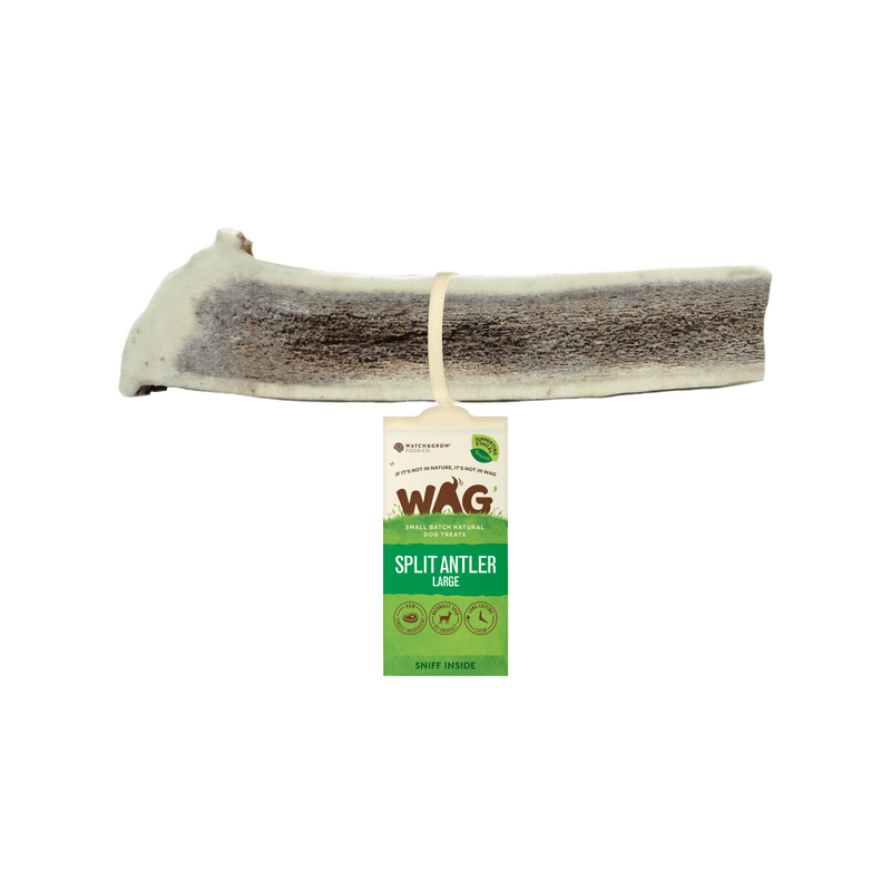 WAG Split Deer Antler - Large