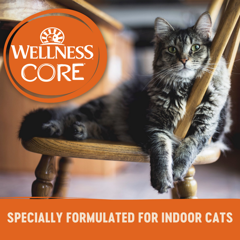 Wellness Core Wet Cat Food Signature Selects Indoor Boneless Chicken