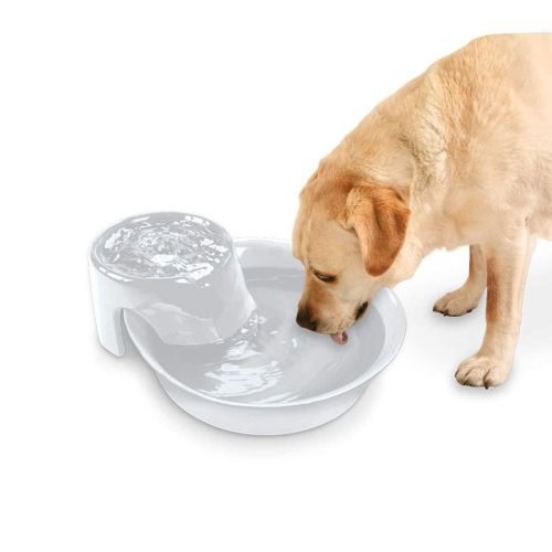 Pioneer Pet Big Max Ceramic Drinking Fountain 3.7 Litres 3005