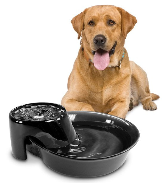 Pioneer Pet Big Max Ceramic Drinking Fountain 3.7 Litres 3005