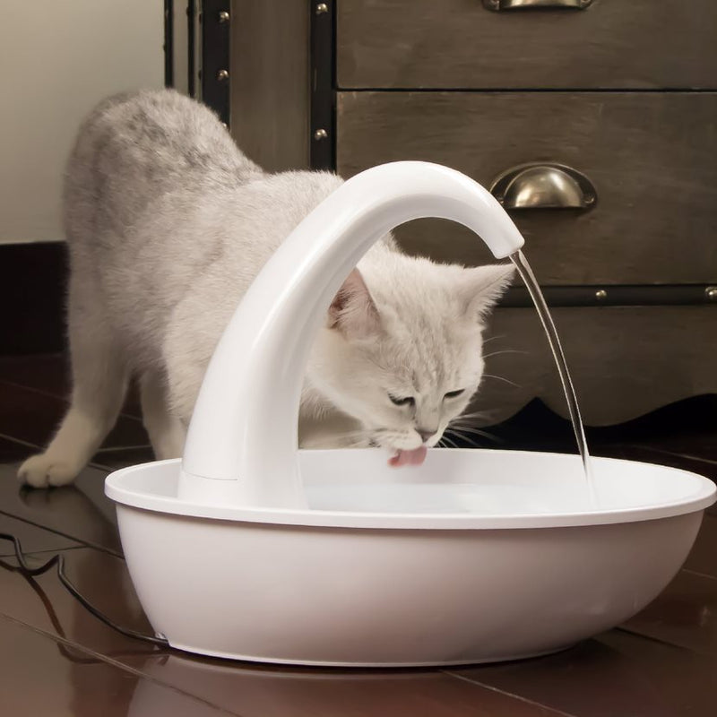 Pioneer pet swan deals cat drinking fountain